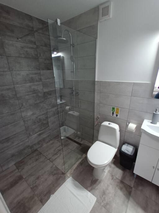 Old Town Studio 1 Apartment Nr 4 Baia Mare Exterior photo