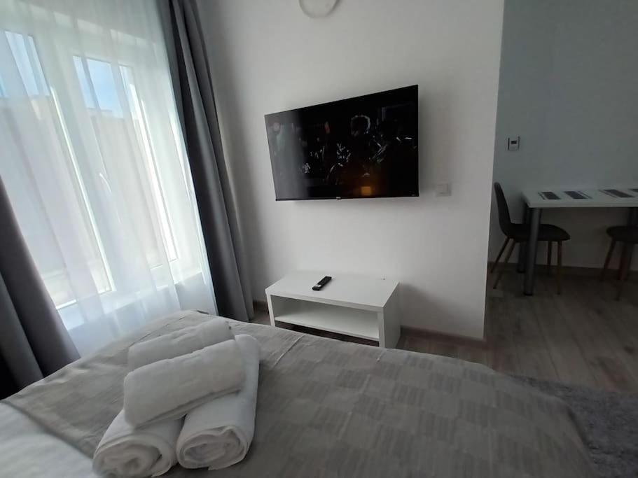 Old Town Studio 1 Apartment Nr 4 Baia Mare Exterior photo