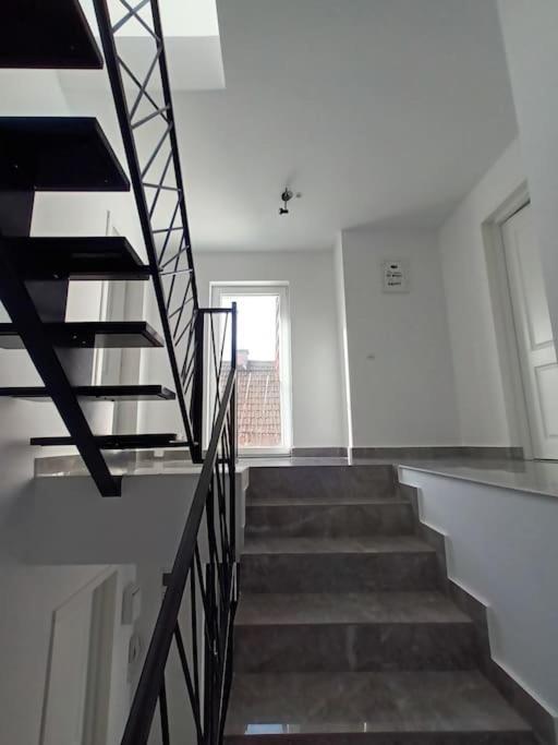 Old Town Studio 1 Apartment Nr 4 Baia Mare Exterior photo