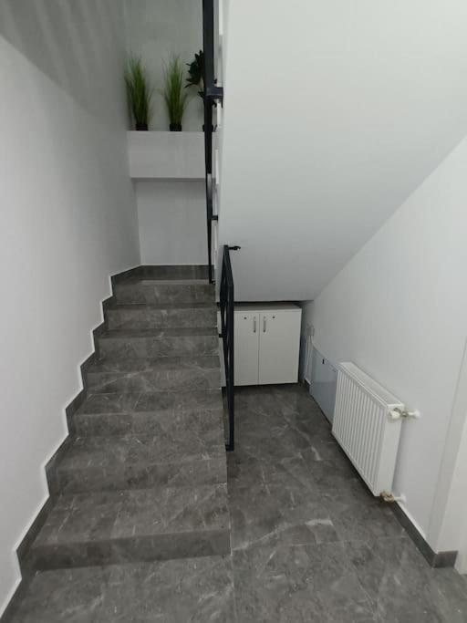 Old Town Studio 1 Apartment Nr 4 Baia Mare Exterior photo